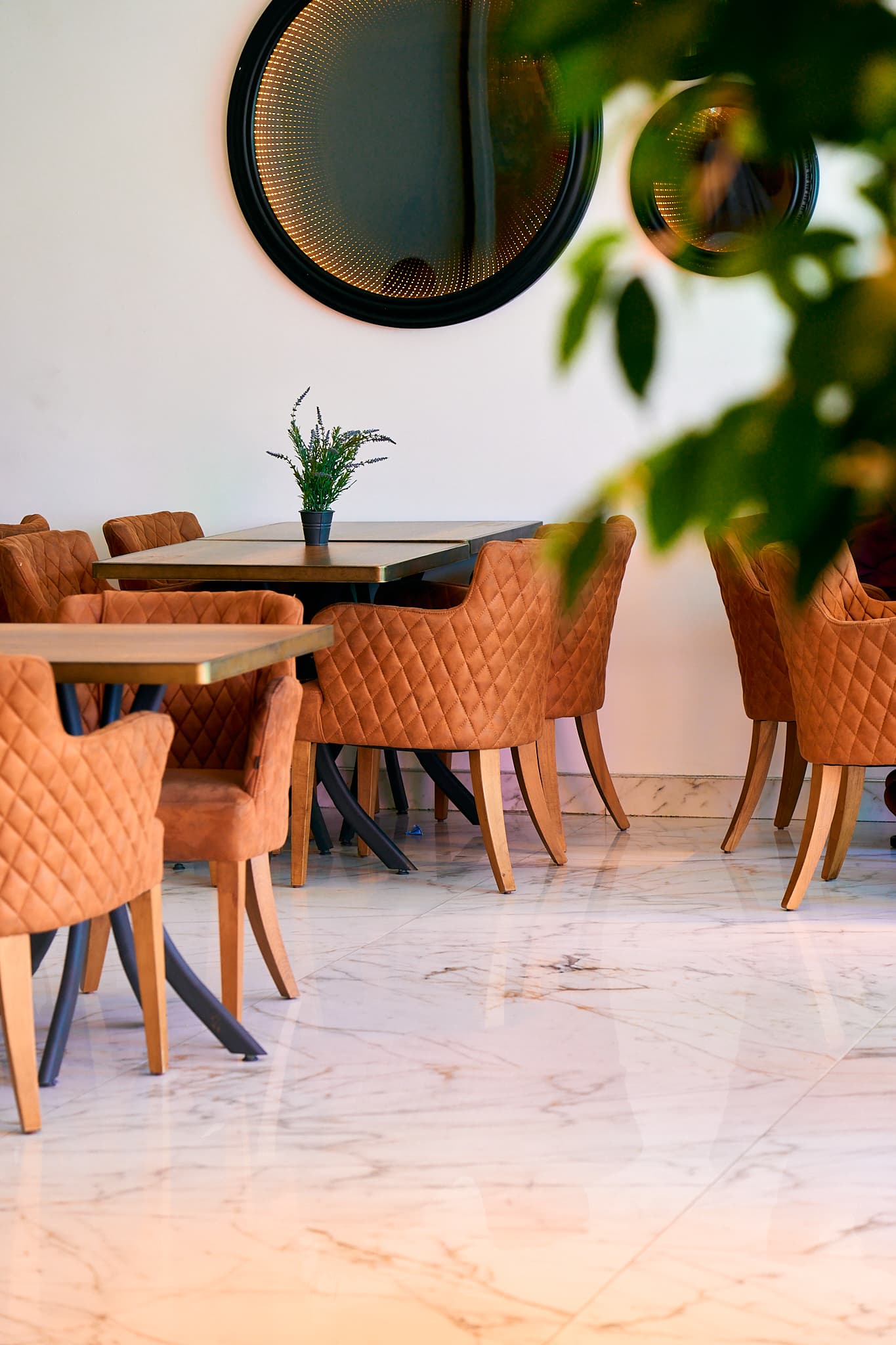 Dining area with plants
